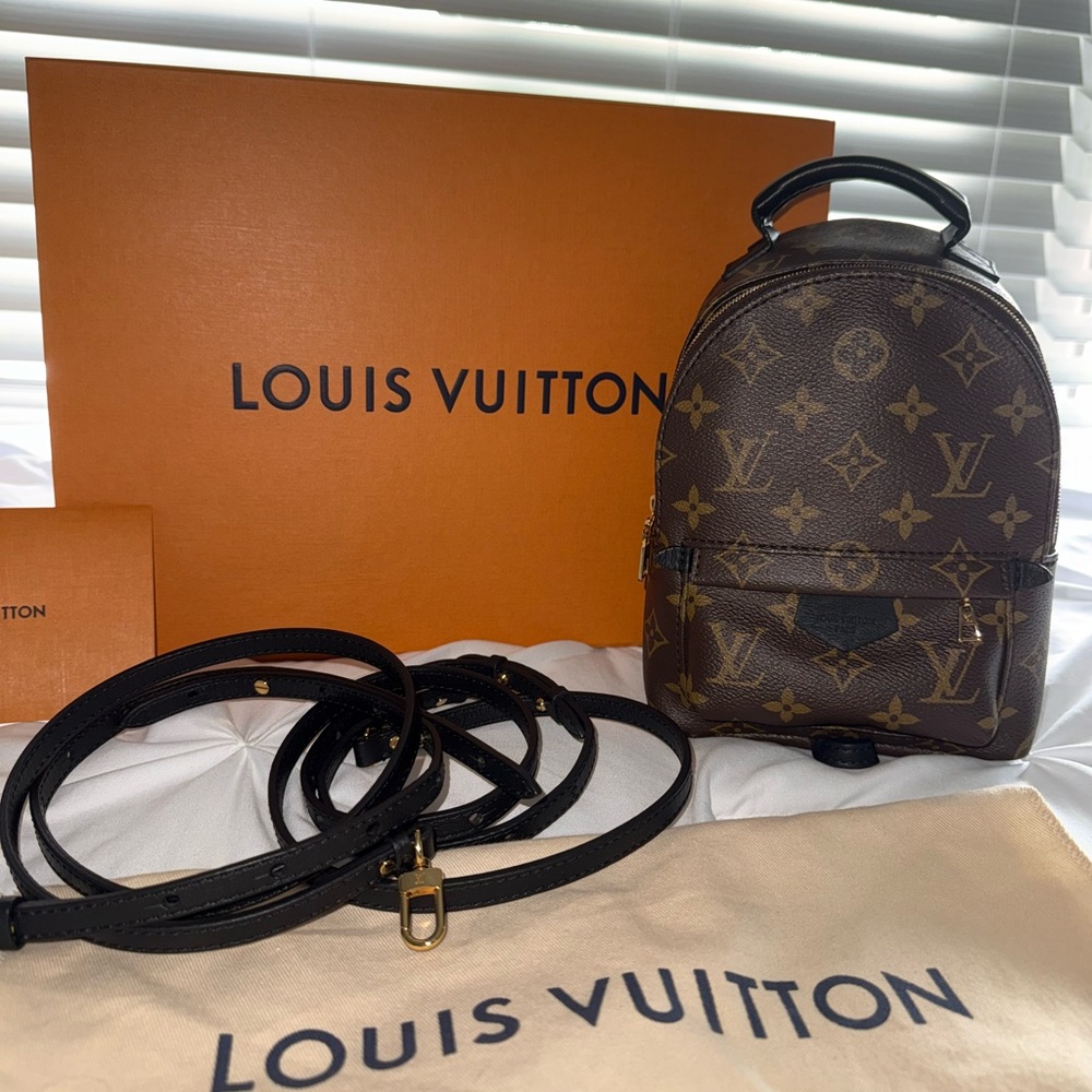 Louis Vuitton Palm Springs Mini Backpack